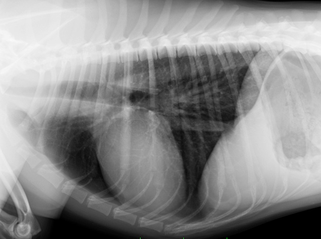 事前予約・カウンセリング