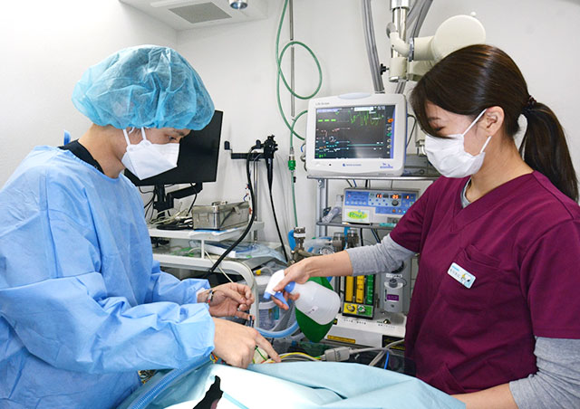 痛みを先回りして抑える「マルチモーダル鎮痛」