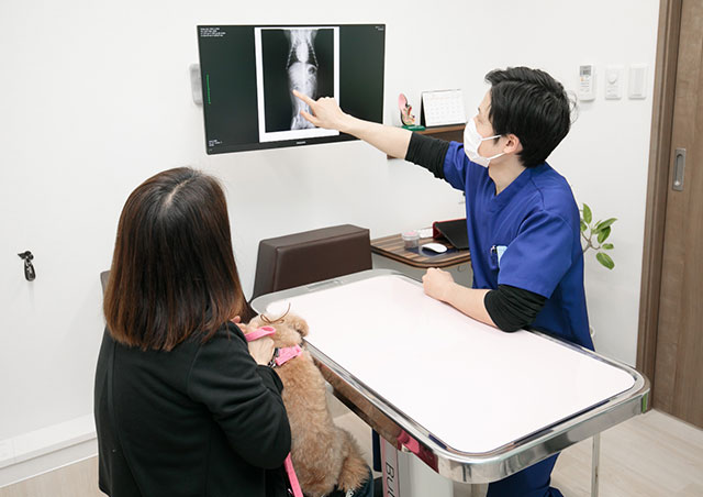 麻酔前検査（リスク評価）