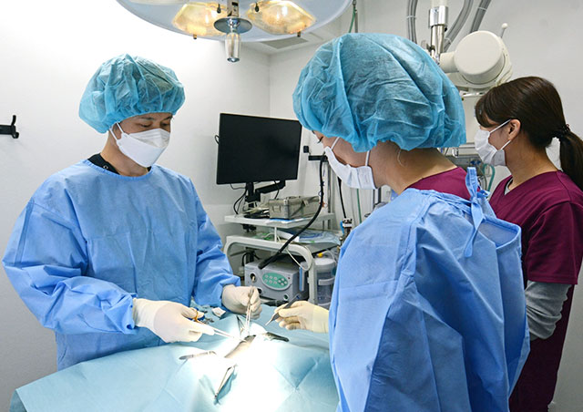 麻酔当日（厳重管理）