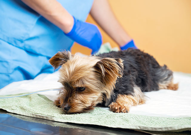 覚醒・リカバリー