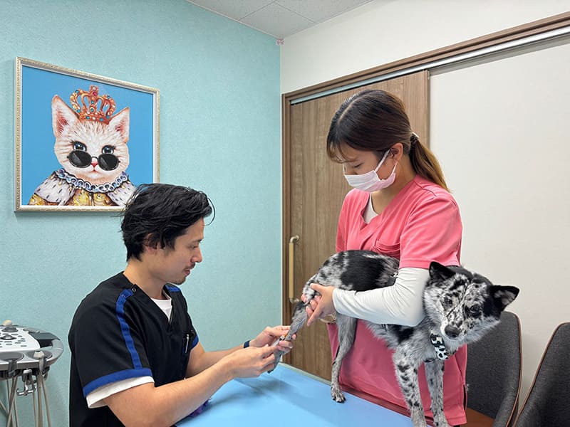 血圧測定・尿検査