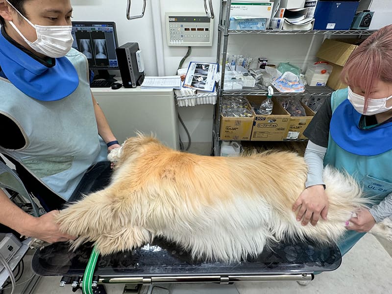 デジタルレントゲン