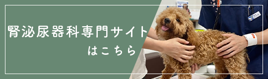 腎臓病専門サイト