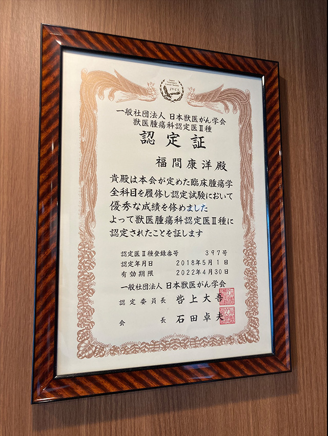 経験豊富な獣医師によるアドバイス