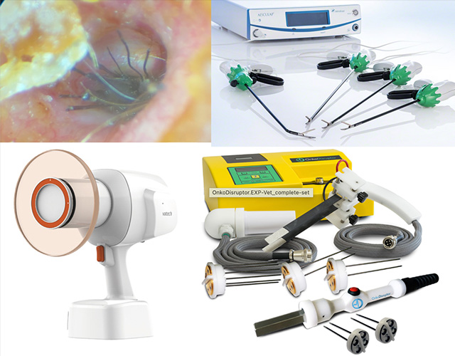 最新の医療機器と治療選択肢に対応