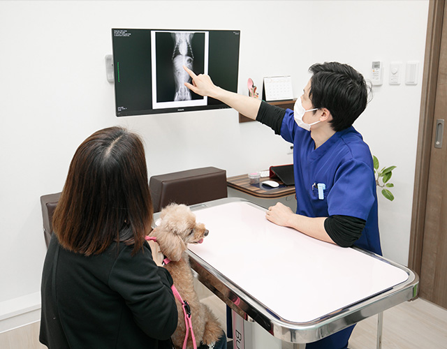 来院またはオンラインでの相談・診察