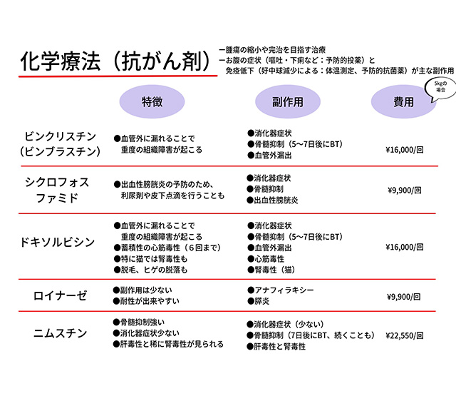 リンパ腫の抗がん剤治療についてご相談