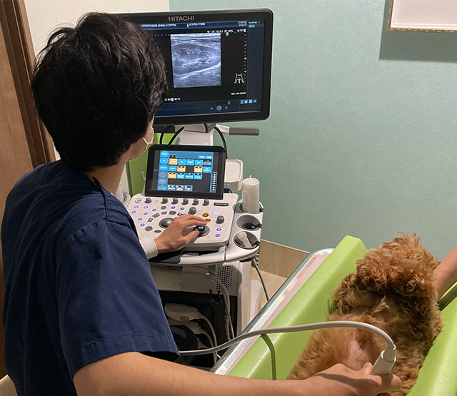 腎数値の上昇の原因を再確認したい症例