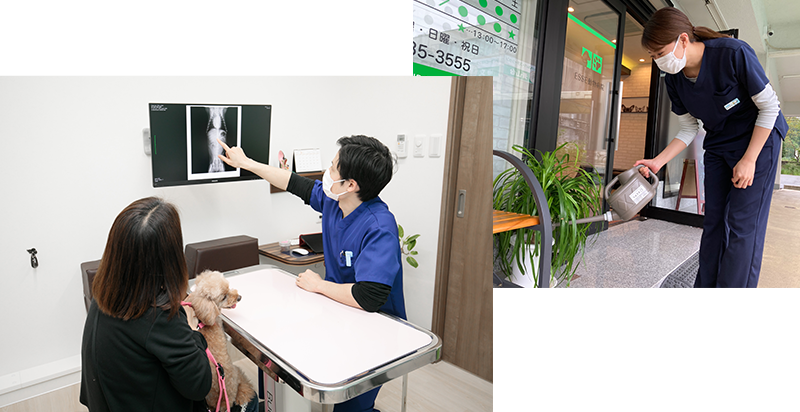 開院準備・開院・診療