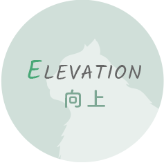ELEVATION 向上