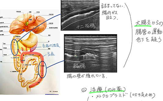記録と記憶に残る診療