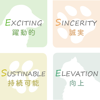 ESSEの由来「活動的」「誠実」「持続可能」「向上」